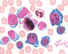 关于A鶗lc掮镘覃'd+?髓?櫫3醏F摬